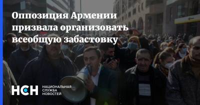 Оппозиция Армении призвала организовать всеобщую забастовку