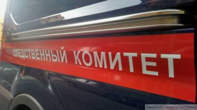 СК просит суд изменить меру пресечения для напавшего на охранника москвича