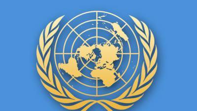 Генассамблея ООН приняла резолюцию России о борьбе с героизацией нацизма