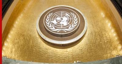 В ООН приняли российскую резолюцию по борьбе с героизацией нацизма