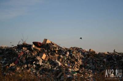 Суд обязал администрацию муниципалитета Кузбасса установить мусорные контейнеры