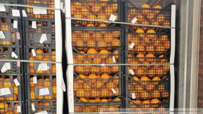 Врач Полянова: мандарины полезны для психики человека
