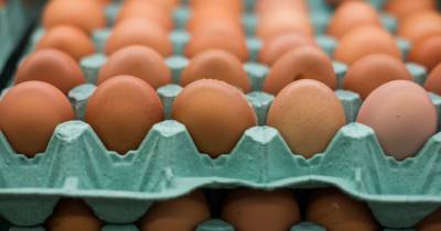 Росстат оценил динамику цен на яйца и овощи