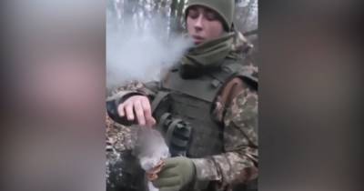 Потушил сигарету о тело кошки: военный надругался над мертвым животным (видео)