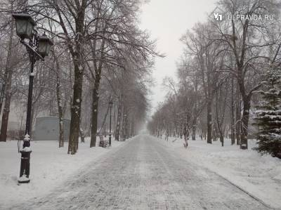 Обещают небольшой снег и морозец. Погода в Ульяновской области 17 декабря
