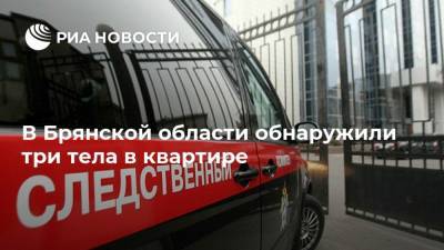 В Брянской области обнаружили три тела в квартире - ria.ru - Россия - Брянск - Брянская обл.