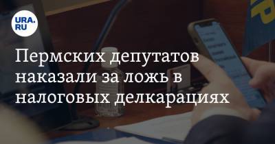 Пермских депутатов наказали за ложь в налоговых декларациях