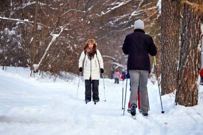 Вильфанд пообещал москвичам подходящую для лыж и санок погоду к концу недели