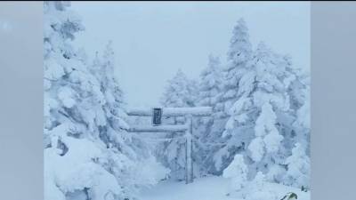 Мощные снегопады обрушились на Японию