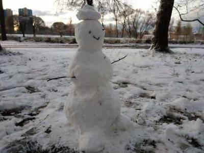 В Москве ожидается мокрый снег