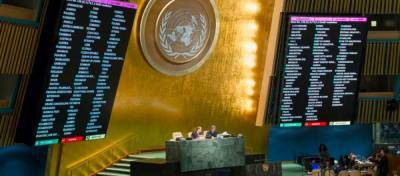 Большинство ООН не стало голосовать за антироссийскую резолюцию...