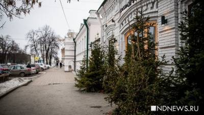 К выходным в Екатеринбурге похолодает, но снега не будет