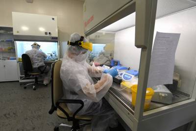Количество анализов на коронавирус в Тверской области увеличат за счет новых лабораторий