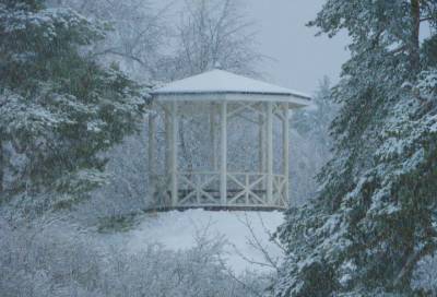 Ощущение настоящей зимы: сотрудники «Монрепо» поделились фото заснеженного парка
