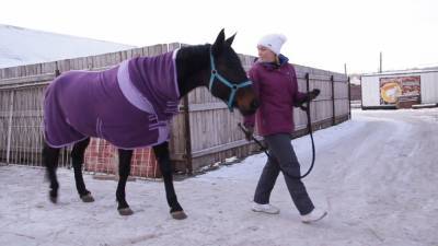 Жители Пермского края спасли лошадь от гибели.