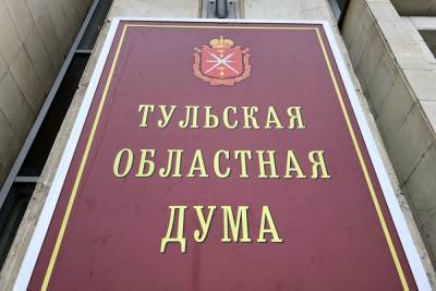 Тульские депутаты утвердили аудитора Счетной Палаты