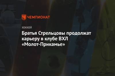 Братья Стрельцовы продолжат карьеру в клубе ВХЛ «Молот-Прикамье»