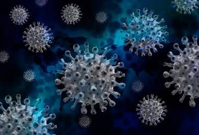 В России за сутки выявлено более 28 тысяч новых случаев коронавируса