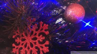 Малолетний поджигатель уничтожил новогоднюю елку в Ханты-Мансийске