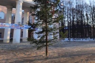 В Заволжском районе Ярославля перед ДК поставили «лысую» елку