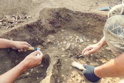 В Гессене обнаружены древние окаменелости питона: им 47 миллионов лет