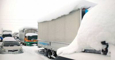 Аномальный снегопад парализовал Японию: машины застряли в сугробах, тысячи домов без света