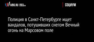 Полиция в Санкт-Петербурге ищет вандалов, потушивших снегом Вечный огонь на Марсовом поле