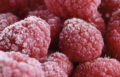 Эксперт: Замороженная ягода будет в цене - agroportal.ua