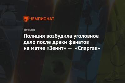 Полиция возбудила уголовное дело после драки фанатов на матче «Зенит» — «Спартак»