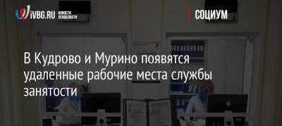 В Кудрово и Мурино появятся удаленные рабочие места службы занятости