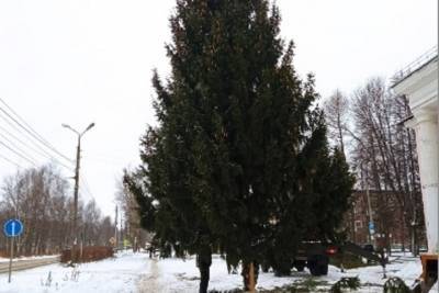 В Ярославле после критики горожан убрали «лысую» елку