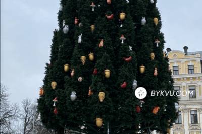 В Киеве установили новую верхушку на главную елку страны: фото