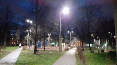 В Петербурге будет разработан проект реконструкции освещения парка Красное Село
