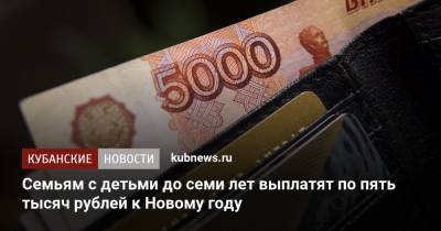 Семьям с детьми до семи лет выплатят по пять тысяч рублей к Новому году