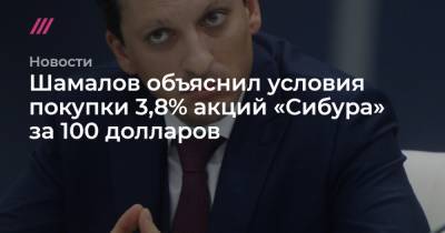 Шамалов объяснил условия покупки 3,8% акций «Сибура» за 100 долларов