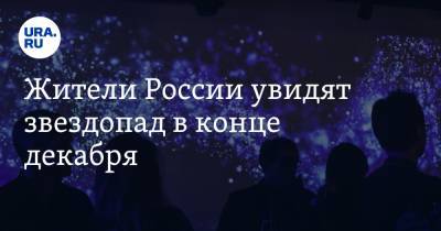 Жители России увидят звездопад в конце декабря