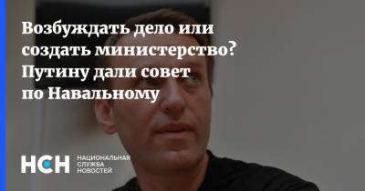 Возбуждать дело или создать министерство? Путину дали совет по Навальному