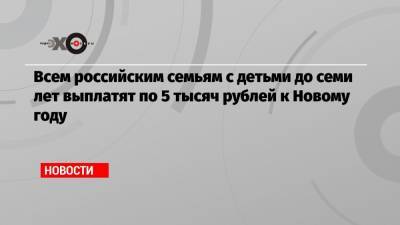 Всем российским семьям с детьми до семи лет выплатят по 5 тысяч рублей к Новому году