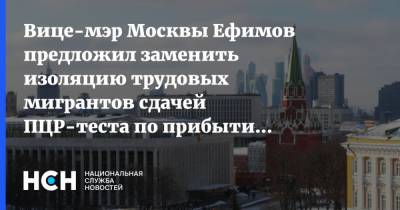 Вице-мэр Москвы Ефимов предложил заменить изоляцию трудовых мигрантов сдачей ПЦР-теста по прибытии в РФ