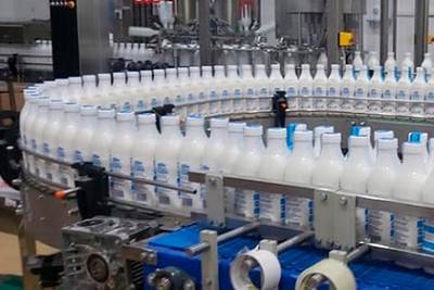Молочный комбинат в Ставропольском крае вдвое увеличил выпуск продукции