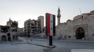 Британские "правозащитники" распространяют негативную повестку о Сирии