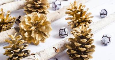 Преображение шишек: 13 идей для новогодних украшений (ФОТО)