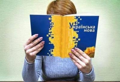 Через месяц бизнес должен перейти на украинский язык: как это будет работать