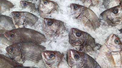 Росрыболовство призвало контролировать цены на рыбную продукцию