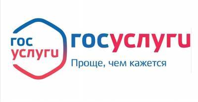 Ульяновцы с начала года получили 1,7 миллиона электронных услуг
