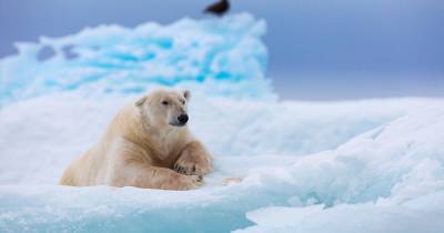 Российский ученый назвал неожиданную причину потепления в Арктике