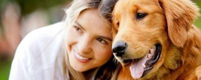 Дрессировка собак с использованием наказаний приводит к негативным последствиям