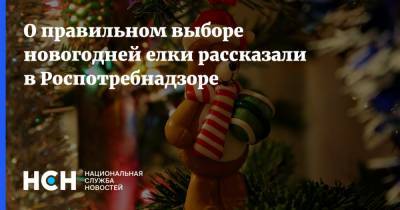 О правильном выборе новогодней елки рассказали в Роспотребнадзоре