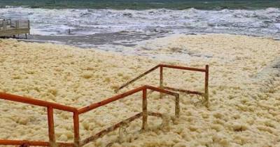 "Прибрежный капучино": в Кирилловке сфотографировали необычное природное явление
