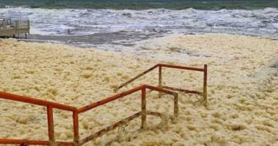 “Прибрежный капучино”: в Кирилловке сфотографировали необычное природное явление